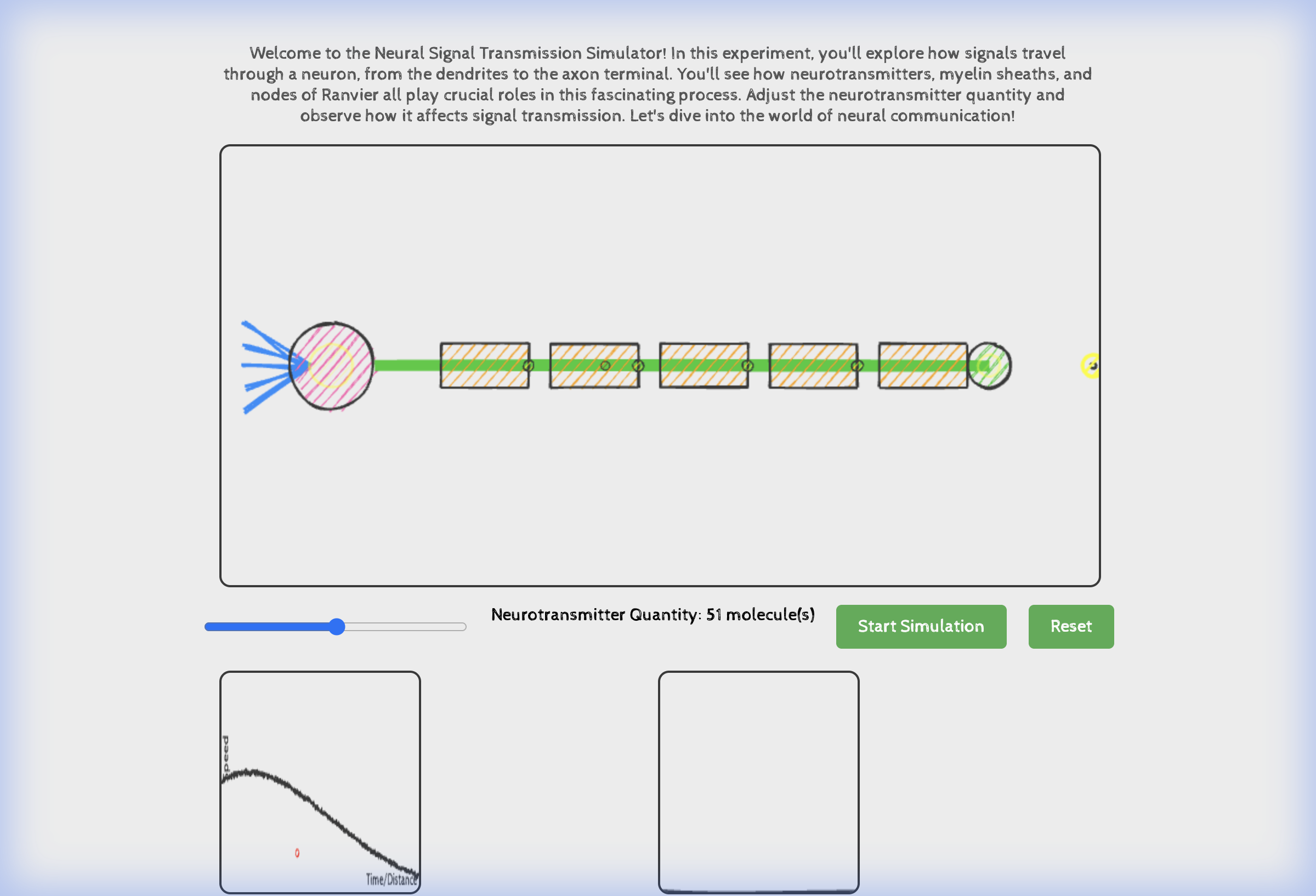 Neural Signal Transmission Simulator